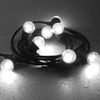 Festoon Lights