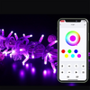RGB Smart String Light with App